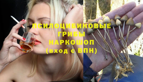 шишки Зерноград