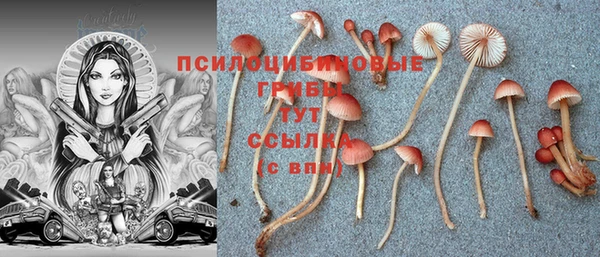 шишки Зерноград